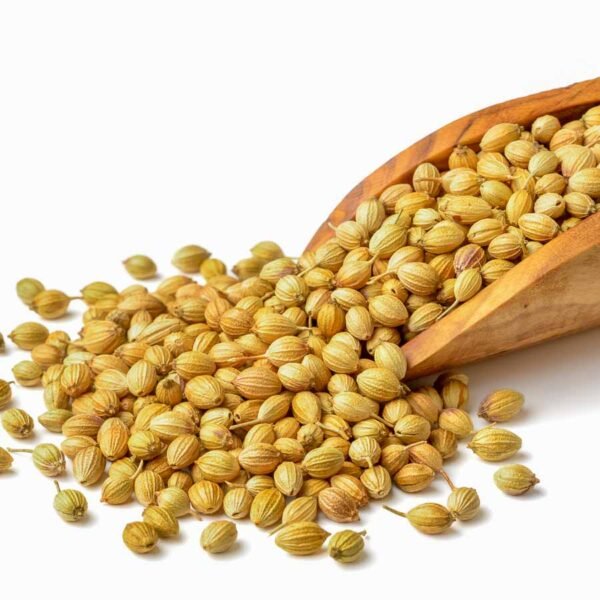 Dhaniya Seeds