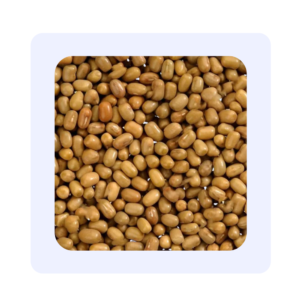 Madike Kaalu(Moth Bean)
