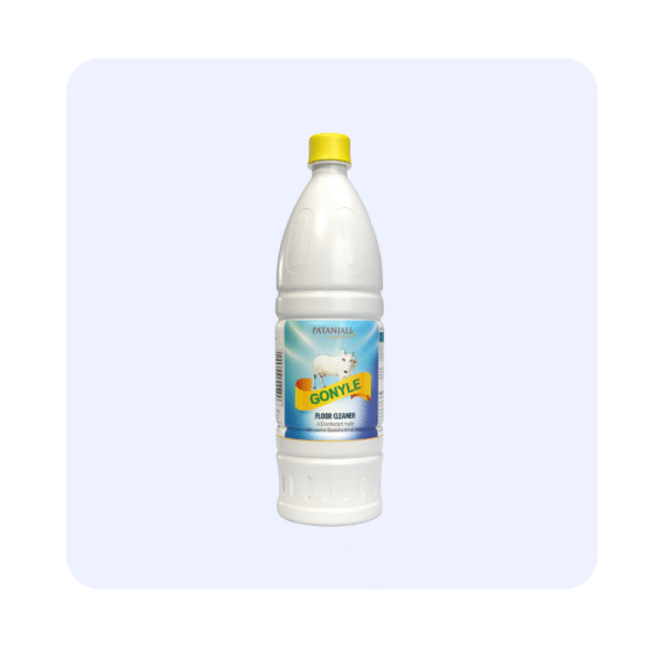 Patanjali floor cleaner 1L gonyle