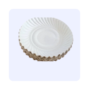 Disposable Paper Plate No10(approx 20)